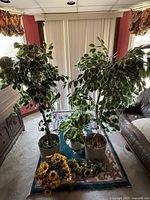 Two large faux trees and one medium variegated leaf plant with artificial sunflower bunches on the floor around them.