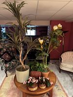 View focusing on the tall faux tree with long narrow leaves in beige pot, showing the twisted trunk and leaf detail.