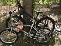 Two bicycles leaning against a tree, one adult Batch model with black frame and rear rack, one Dyno VFR children's bike with chrome frame and decals