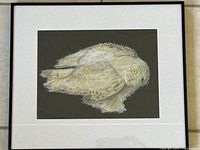 Framed mixed media owl artwork showing full piece including frame and matting.