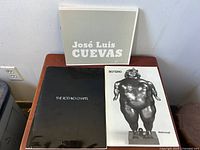 Three vintage art books: Botero, The Rothko Chapel, and José Luis Cuevas displayed on a small wooden surface against a wall.