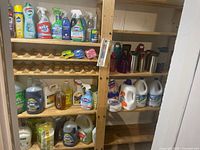 Photo of wood shelving with various spray cleaners, large bottles of dish and laundry soap, and sponges on shelves