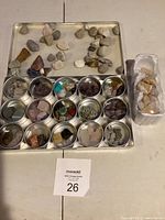Photo showing the full rock collection including various small rocks on a tray, rocks organized in metal tins, and some loose rocks in a plastic container.