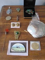 Overview photo of all costume jewelry pieces on wooden table, showing brooches, earrings, pendant with cameo, stick pin, mother-of-pearl shell and loose beads.