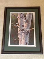 Framed birch tree and birds print with dark wood frame and green matting, signed by artist Daniel Smith.