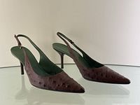 Front three-quarter view of the pair showing brown ostrich leather and slingback design