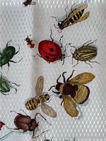 Close-up of multicolored beetles and bees on cream lattice-patterned ground