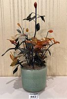 Frontal view of entire jade tree in celadon green planter showing full composition