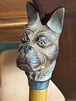 Close-up of carved boxer dog head on cane handle