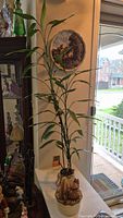 Live bamboo houseplant approximately 44 inches tall in beige decorative ceramic planter with ornamental accents.