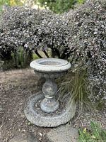 Front angle view of the vintage stone bird bath nestled beside garden plants showing the basin, pedestal, and circular base.