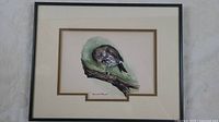 Framed watercolour painting of a hermit thrush bird, showing full artwork and frame.