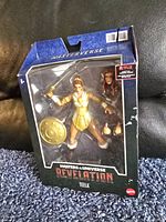 Front view of Teela action figure in original packaging showing figure, sword, shield, and accessories
