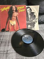 Vinyl record with album cover and rare merchandise order form inner sleeve displayed on a surface.