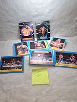 Eight vintage WWF wrestling trading cards featuring images of wrestlers and matches, plus two collectible stickers of Andre the Giant and Captain Lou Albano.