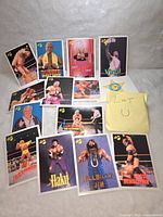 Layout of 16 WWF (WWE) vintage wrestling trading cards showing various wrestlers including Hulk Hogan, Virgil, Hillbilly Jim, Haku, Bad News Brown, Giant Demolition, and others in different poses and settings.