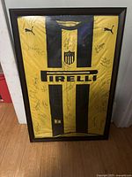 Full view of framed jersey showing frame, stripes, crest and autographs