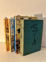 Four vintage hardcover books in Western and Adventure genres standing upright. Front book is 'Destry Rides Again', green cloth cover, no dust jacket. Behind are three other books with dust jackets including one blue 'The Horse-Tamer' and two yellow 'Fury' titles.