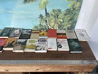 Photo showing 19 books laid out, various authors and genres visible, mostly softcover with a few hardcover. Books include titles like Rubicon, vitamins book, Out of Sync Child Has Fun, 77 Shadow Street.