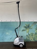 Full side view of the Rowenta commercial clothing steamer showing the base unit with water tank, telescoping pole, flexible black hose.