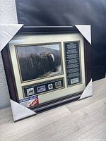 Full view of framed Vietnam War Memorial postage art showing the frame, image, text, and stamps with corner foam guards.
