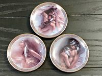 Three collector plates arranged on a dark wooden surface, showing the designs and gold borders clearly