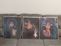 Three shrink-wrapped prints on cardboard showing children with pets by James Rawlings.