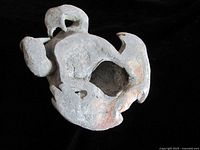 Underside of cast lead frog showing interior cavity and legs