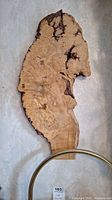 Full view of large burl wood wall clock with natural edges and Roman numeral markers
