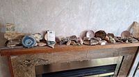 Overview of collection on wooden surface showing multiple geodes, shells, mineral slabs, and crystals arranged in a row