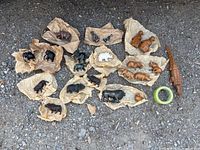 Top view of assorted carved animals grouped on paper and ground, including elephants, bears, rhinos, and a crocodile figure.