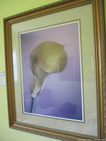 Full view of the vintage calla lily print in a wooden frame with matting against a yellow wall.