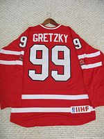 Back view of red Wayne Gretzky Team Canada hockey jersey with white number 99 and name Gretzky, white and black outlined numbers, IIHF patch on bottom hem, maple leaf patches on sleeves.