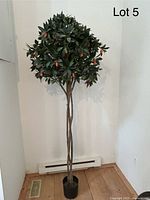 Full view of a 5-foot artificial bay leaf topiary tree with a braided trunk and orange fruit accents in a black pot against a white wall.