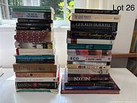 Two tall stacks of mixed books including biographies, literature, poetry, classics, and history, showing titles and condition.