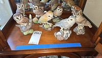 Overview photo of complete set of 8 Boehm American Owl Collection porcelain owl figurines arranged on wooden surface in front of mirror showing varied species.