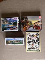 Four puzzle boxes placed on carpet showing different puzzles: lake canoe scene, Paris cityscape, aerial cityscape, and cats with names.