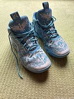 Top angle view of the pair of blue LaFrance Phoenix men's athletic shoes with phoenix graphic on the toes and tongues.