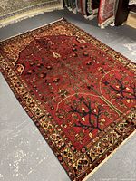 Overhead full view of rug laid flat on floor showing overall design, colors and wear.