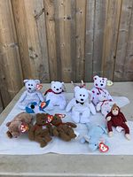 Photo of 11 assorted Ty Beanie Babies plush toys including bears, elephant, and monkey, arranged on a white cloth against a wooden fence.