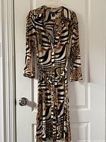 Front view of Frank Lyman dress with animal print pattern, long sleeves, and button closure hanging on white door.