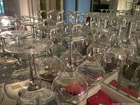 Rows of clear glass wine glasses upside down on shelves.