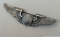 Front view of vintage US Air Force wing pin showing detailed feather design and central shield