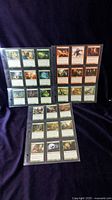 Front view of three plastic pages filled with sleeved Magic: The Gathering cards, showing different card face designs and colors including green and red card types.