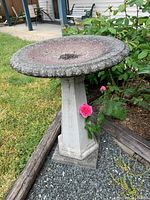 Front-side view of the solid stone bird bath in a garden setting, highlighting the pedestal base and scalloped edge basin.