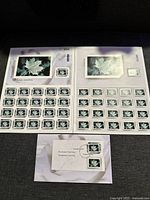 Two sheets of Canadian maple leaf postage stamps in mint condition displayed on a black background, showing many individual stamps with maple leaf images.