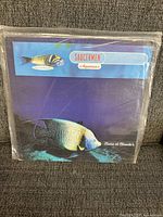 Front cover of Saucerman LP record album showing large tropical fish and album title with Marc et Claude's mention.