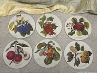 Six vintage cork bottom placemats featuring detailed botanical fruit illustrations laid out in two rows of three on a surface.