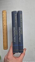 Spine view showing two Ernest Hemingway books with titles 'A Farewell to Arms' and 'The Sun Also Rises' with ruler for scale.