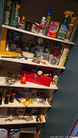 Multiple shelves holding household items including pest control sprays, garden products, hand tools, light bulbs and a metal toolbox with additional tools.